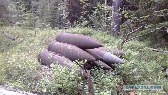 На дне Финского залива нашли погибшую подлодку