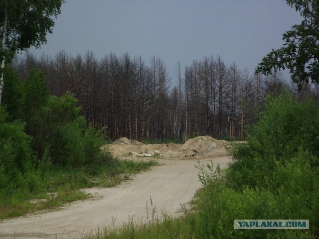 Дорога в 5500 км автостопом на Алтай.