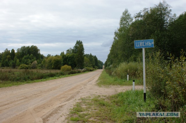 Поиск родственников