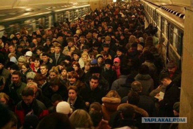 «Оптимизация» парковочного пространства в Москве