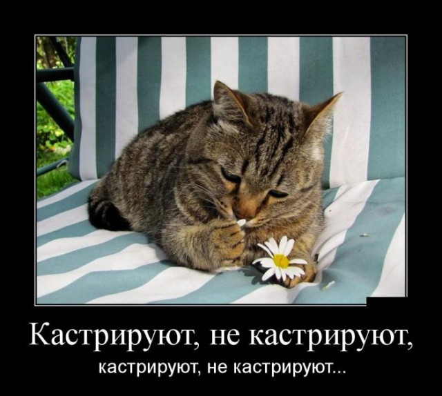 Подборка демотиваторов