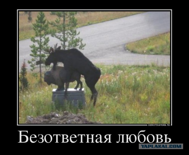 Картинки под пивко