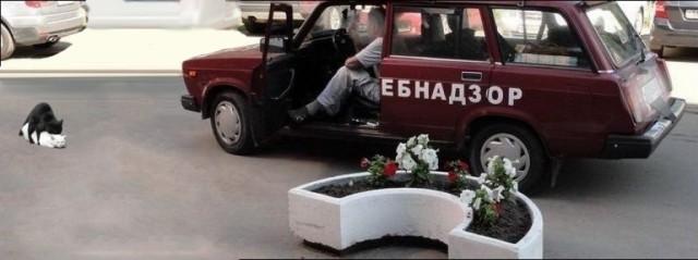 Немного картинок