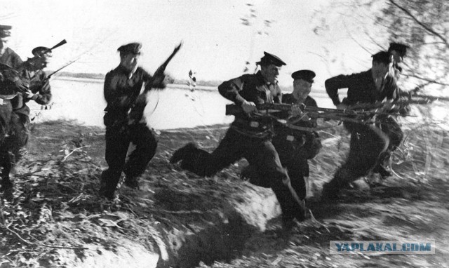 Высадка морского десанта во время тактического учения бригады морской пехоты ТОФ