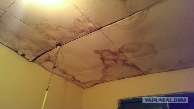 Отпуск в Африке, часть 2