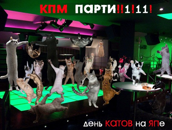 Котосреда!