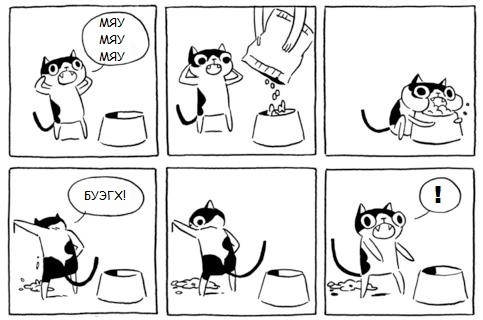 Жрать давай! Тарелка пустая!