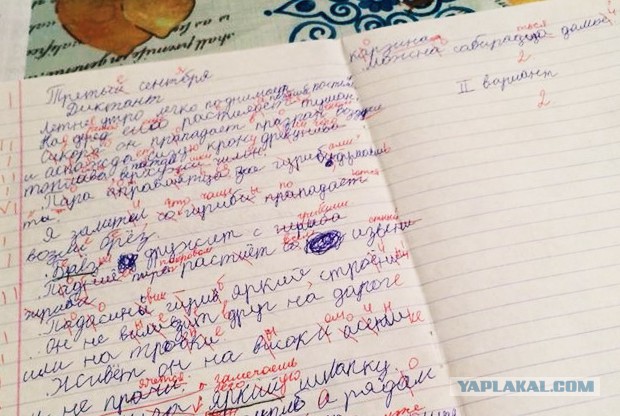 Новые Шариковы: поколение функционально безграмотных