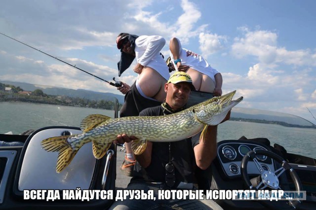 Небольшая подборка забавных картинок