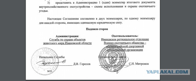 В усадьбу Медведева в Плёсе завезли полсотни алтайских маралов. 4 тысяч га земли за 40 рублей