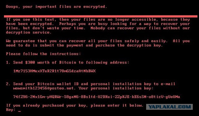 Здравствуй Petya
