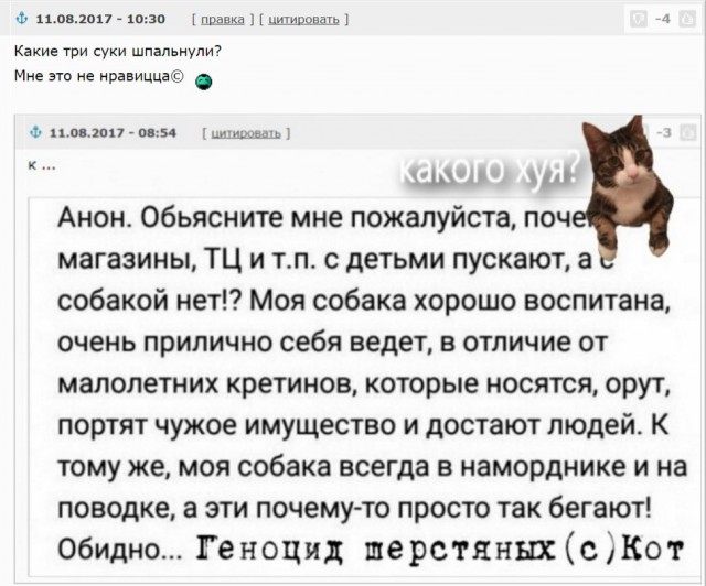 Смешные комментарии из социальных сетей 11.08.2017