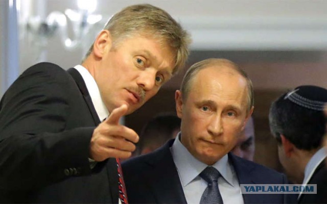 Сын Пескова прокомментировал расследование Алексея Навального