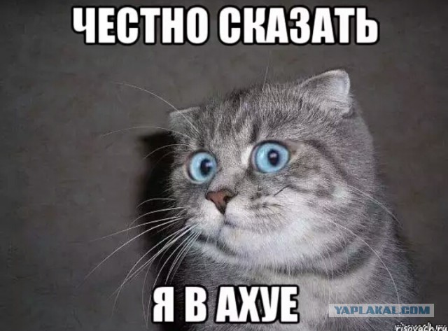 Wargaming 50! Пыщ пыщ, пробил! Урааа!