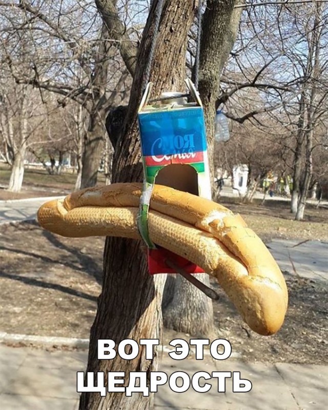 Нестандартный юмор