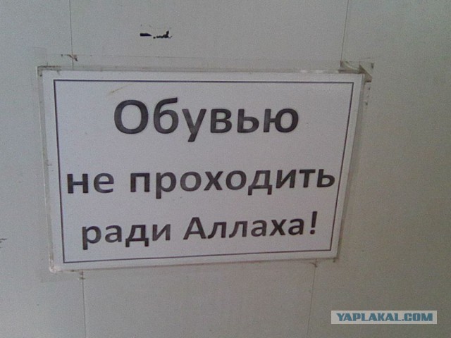 Посол Сирии рассказал о строительстве курортов для россиян