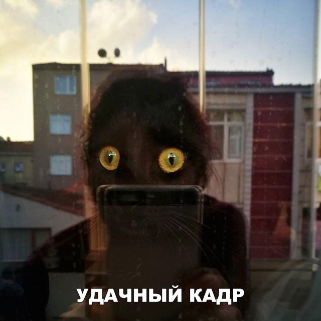 Немного милоты