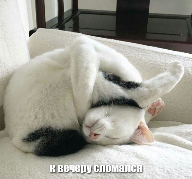Подборка интересных и веселых картинок 05.11.18
