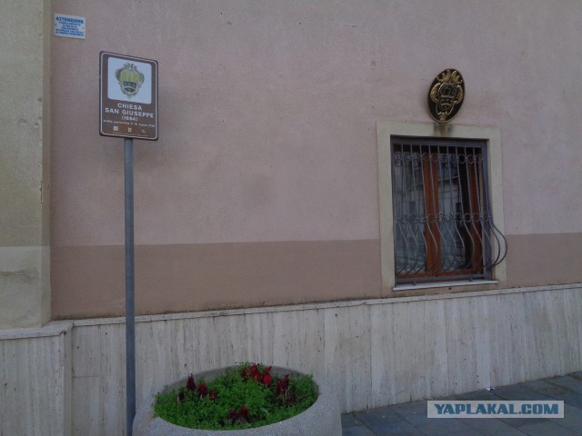 Конопля с грибами