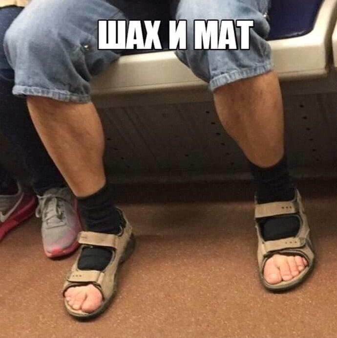 стырнета