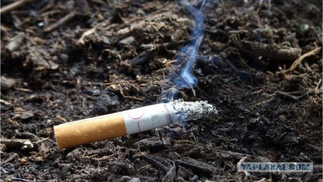 ⚡️ Прямо сейчас в Екатеринбурге