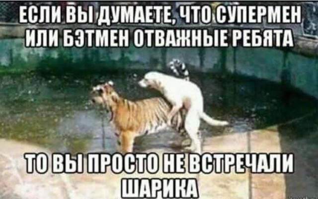 «Картинки разные нужны, картинки разные важны" ©