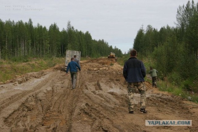 Дураки и дороги