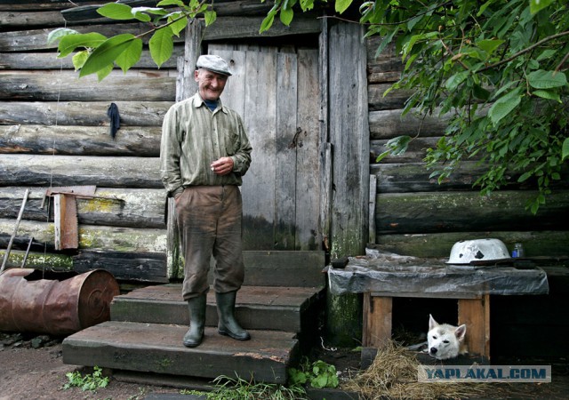 Отель "Бабуля"