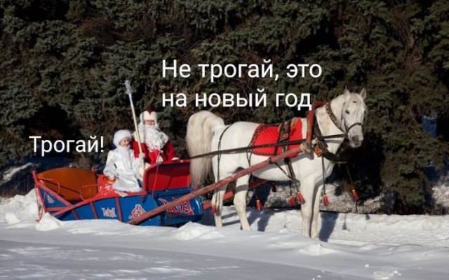 Немного картинок для настроения 28.12.19