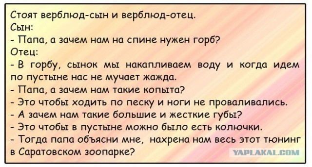 Юмор в картинках 8.12.20
