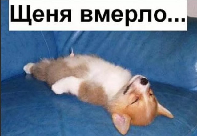 Что можно купить в Украине на 7800 рублей