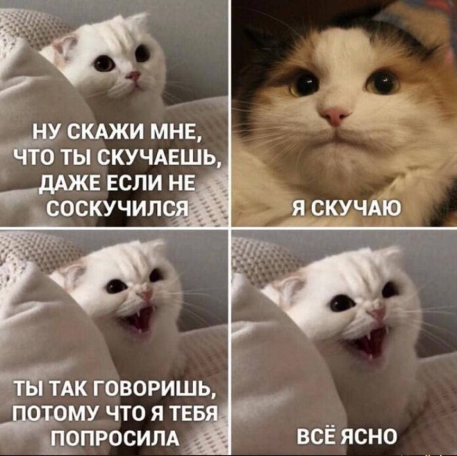 С миру по нитке 11.01.21