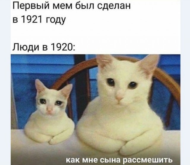 Картинки и мемы для настроения 014