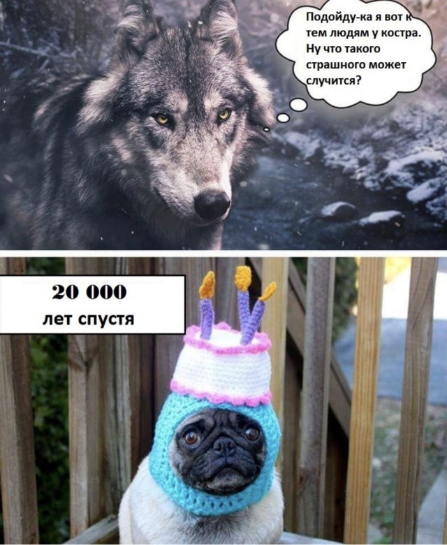 Бредзона 21.06.21