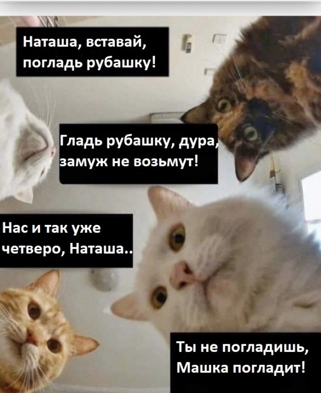 Одни мужики вымерли, другие поумнели