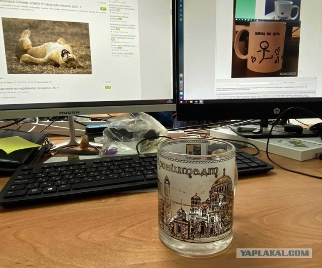 А из какой кружки вы пьёте на работе?