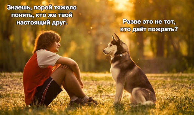 Весёлый полтишок 26.09