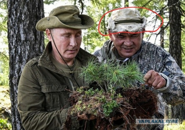Путин посетил провинциальный магазин вместе с Шойгу