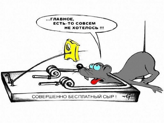 Поймать мыша не удалось
