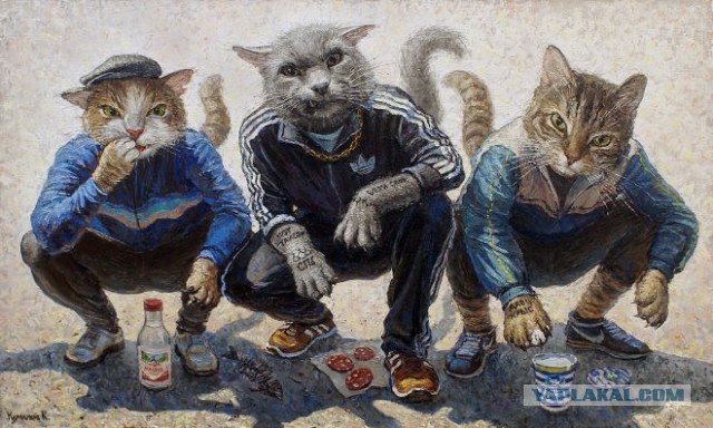 Мне кошку подарили, ура!