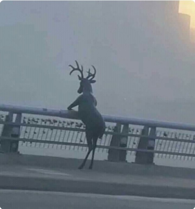 Так себе картинки 25.12.21
