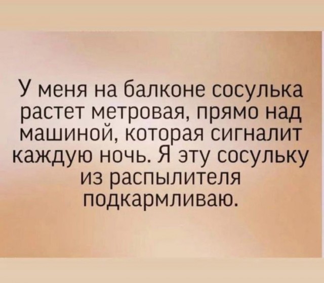 Баянисто-небаянистый юмор 28.12.21