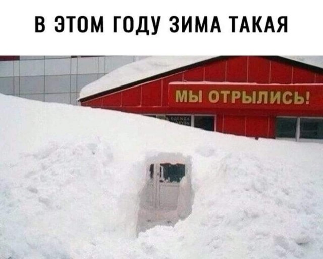 Всяческие картинки 17.01.2022
