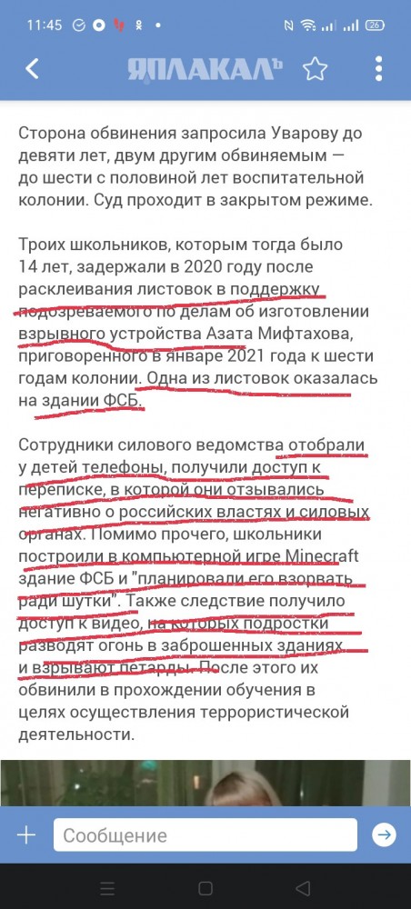 Последнее слово подростка, обвинённого в подготовке взрыва здания ФСБ в Minecraft