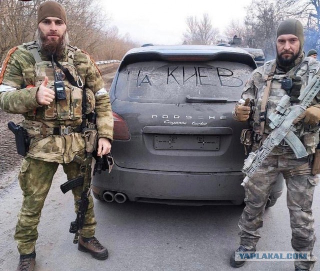 Как выглядит освобождение