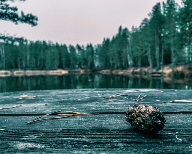 Фотки с телефона.