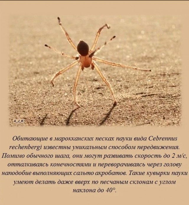 70 удивительных фактов