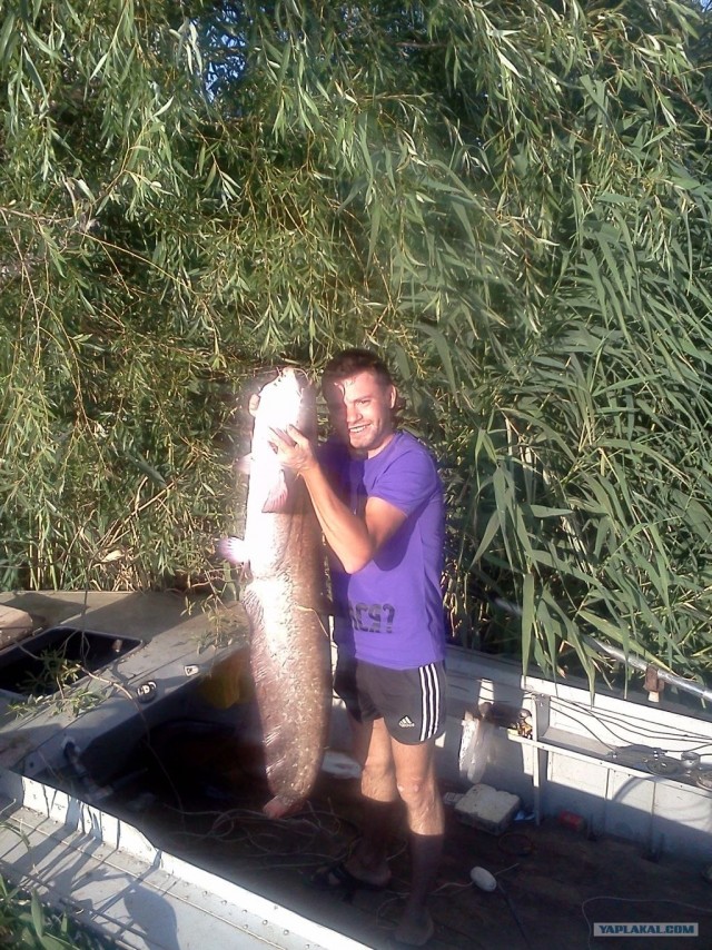 Рыбалка. Болхуны.