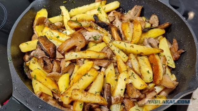 Банальные грибы с картошечкой
