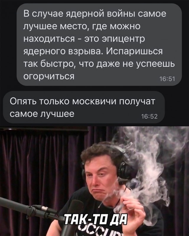 Весёлый полтишок 08.11.22